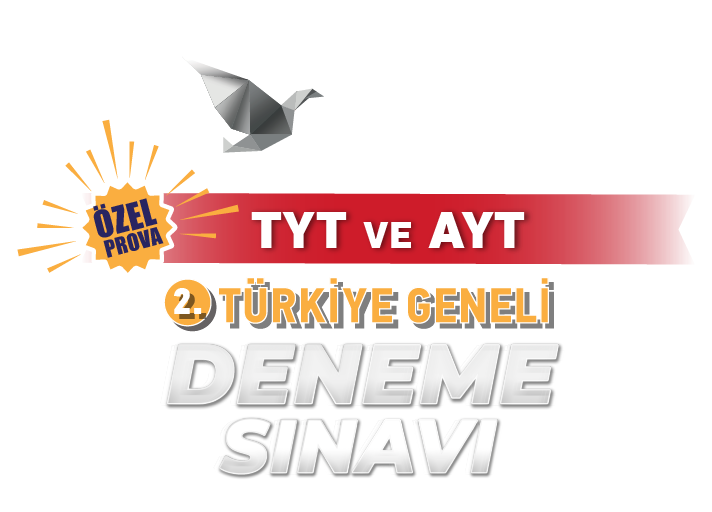 2025-2.TG